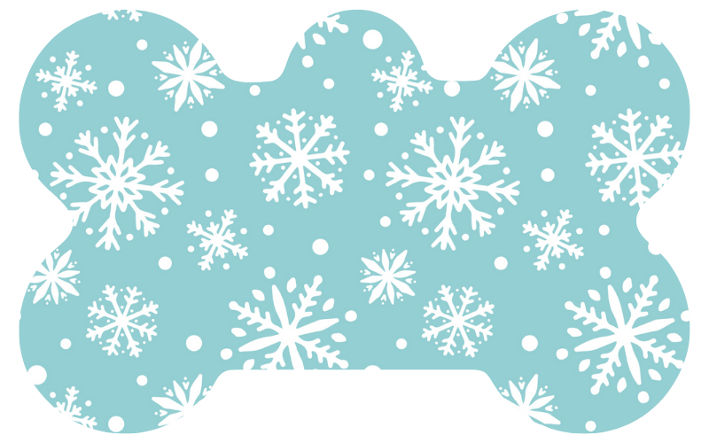 Snowflake Tag