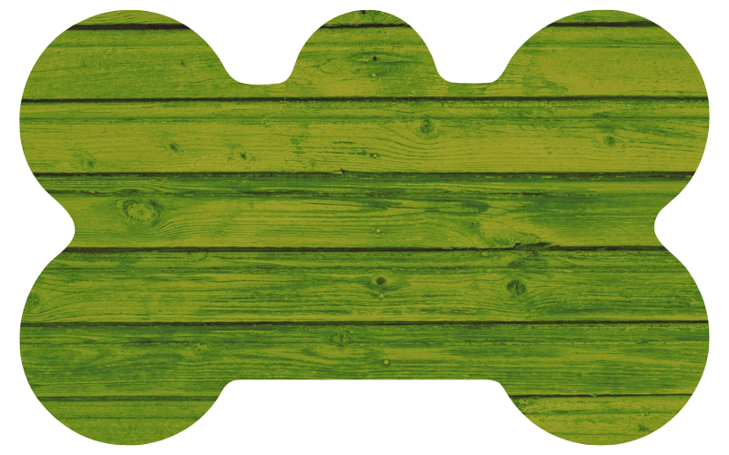 Lime Green Wood Tag