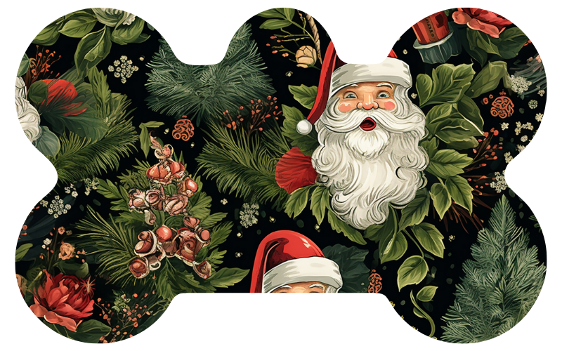 Chic Santa Tag