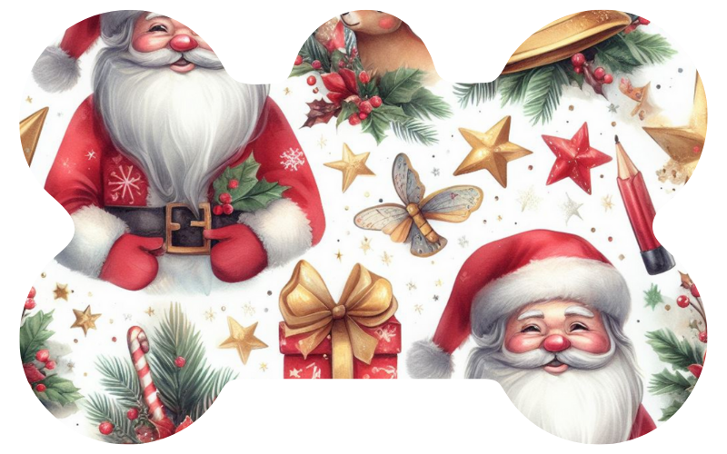 Christmas Santa Tag