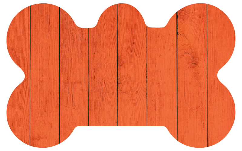Orange Wood Tag