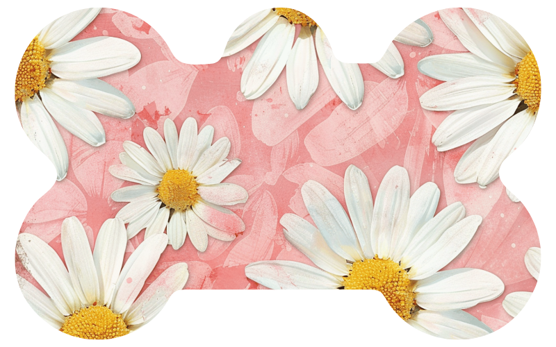 Pink and White Daisy Flower Tag