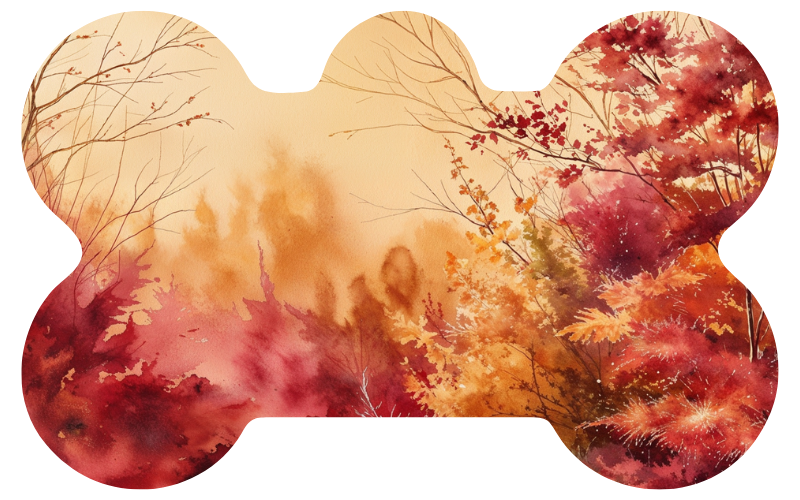 Sunset Leaves Fall Tag