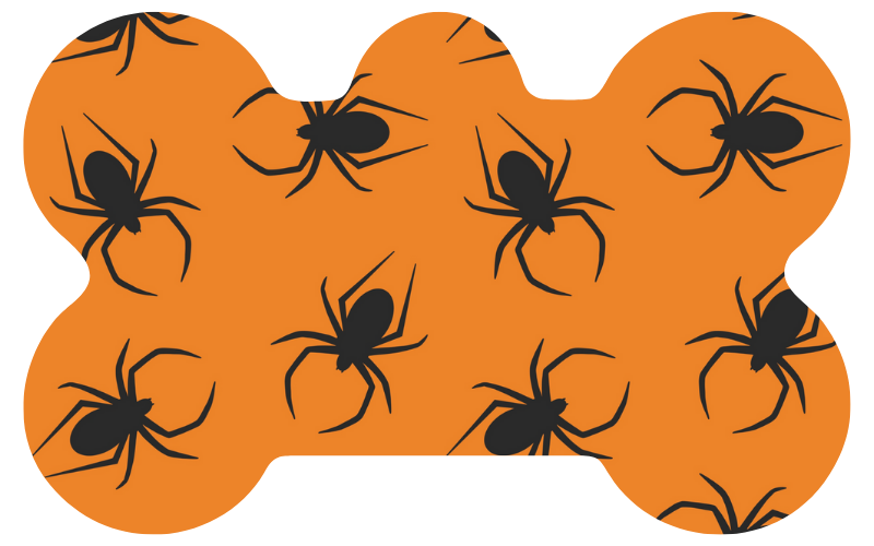 Black & Orange Spider Halloween Tag