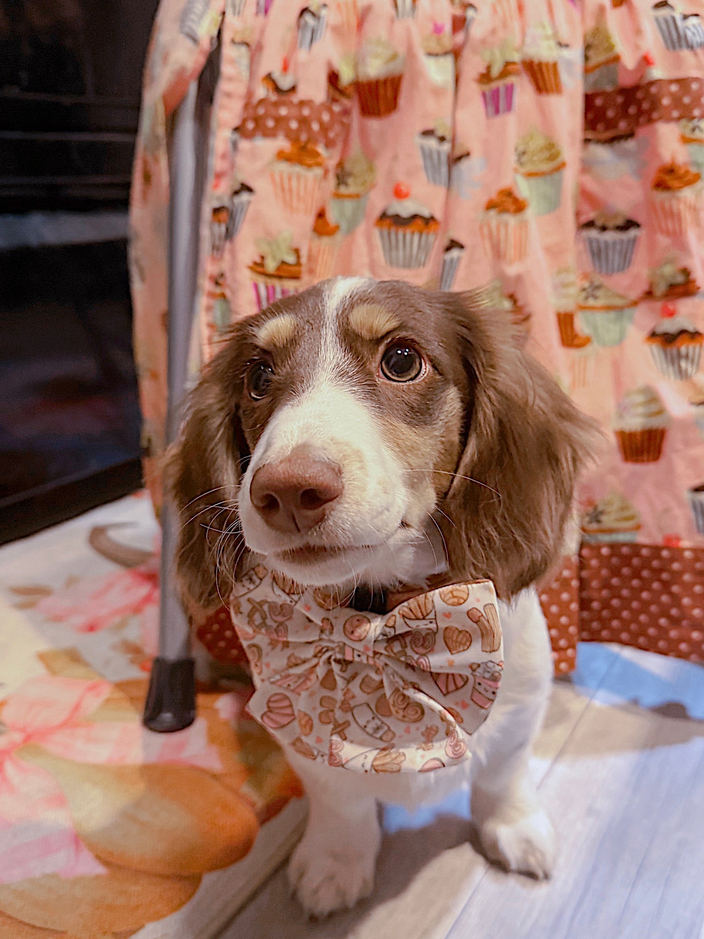 Café Con Cutee Sailor Bows