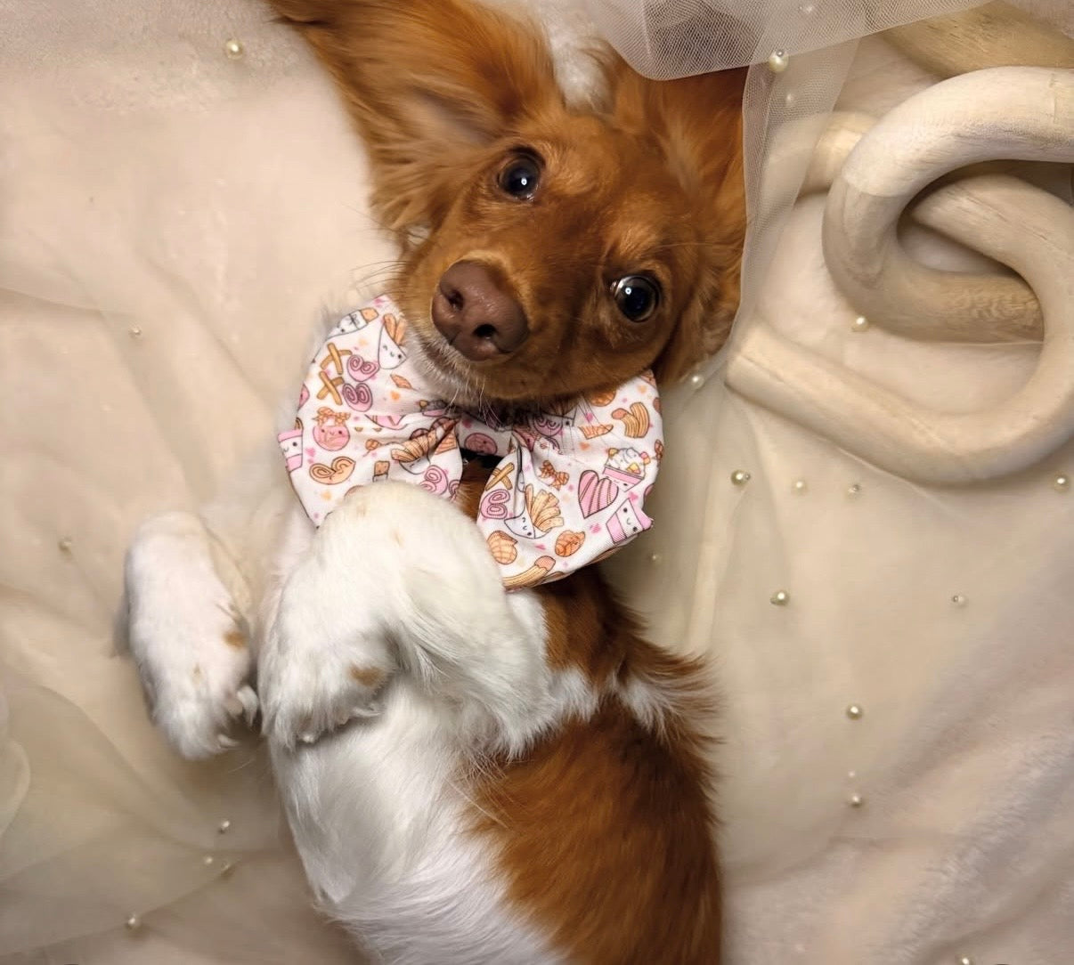 Café Con Cutee Sailor Bows