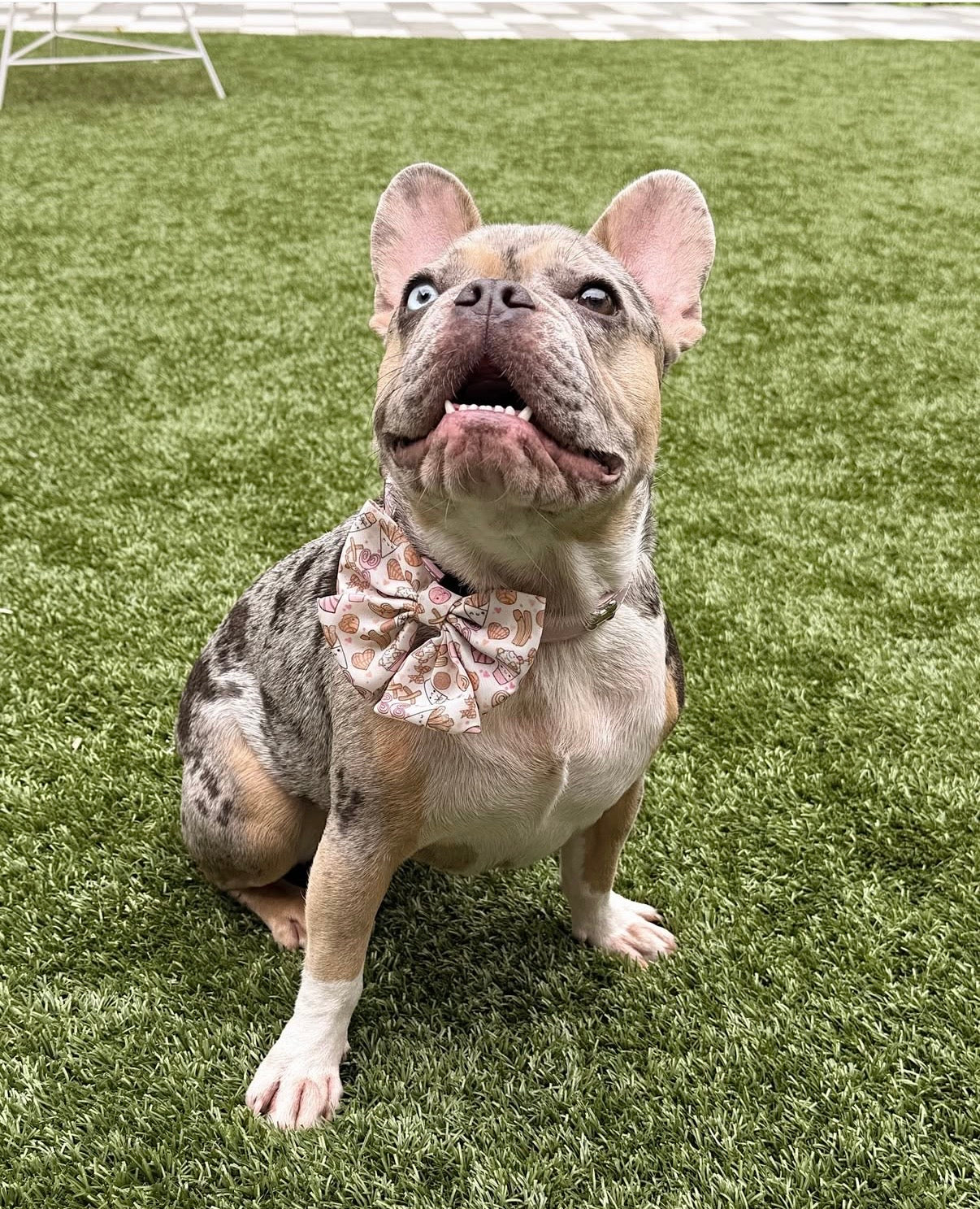 Café Con Cutee Sailor Bows