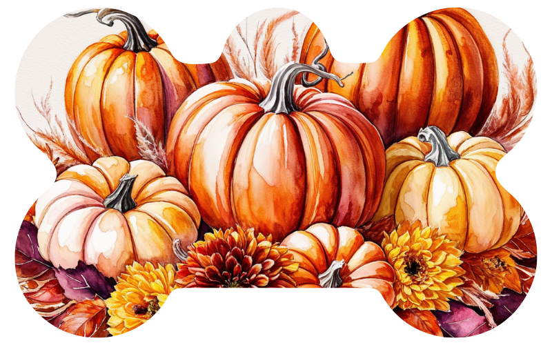 Patch of Pumpkins Fall Tag