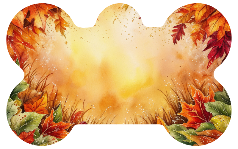Golden Hour Light Fall Tag
