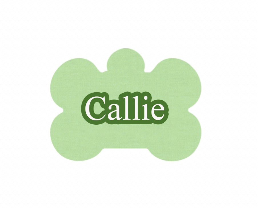 Pastel Green Tag