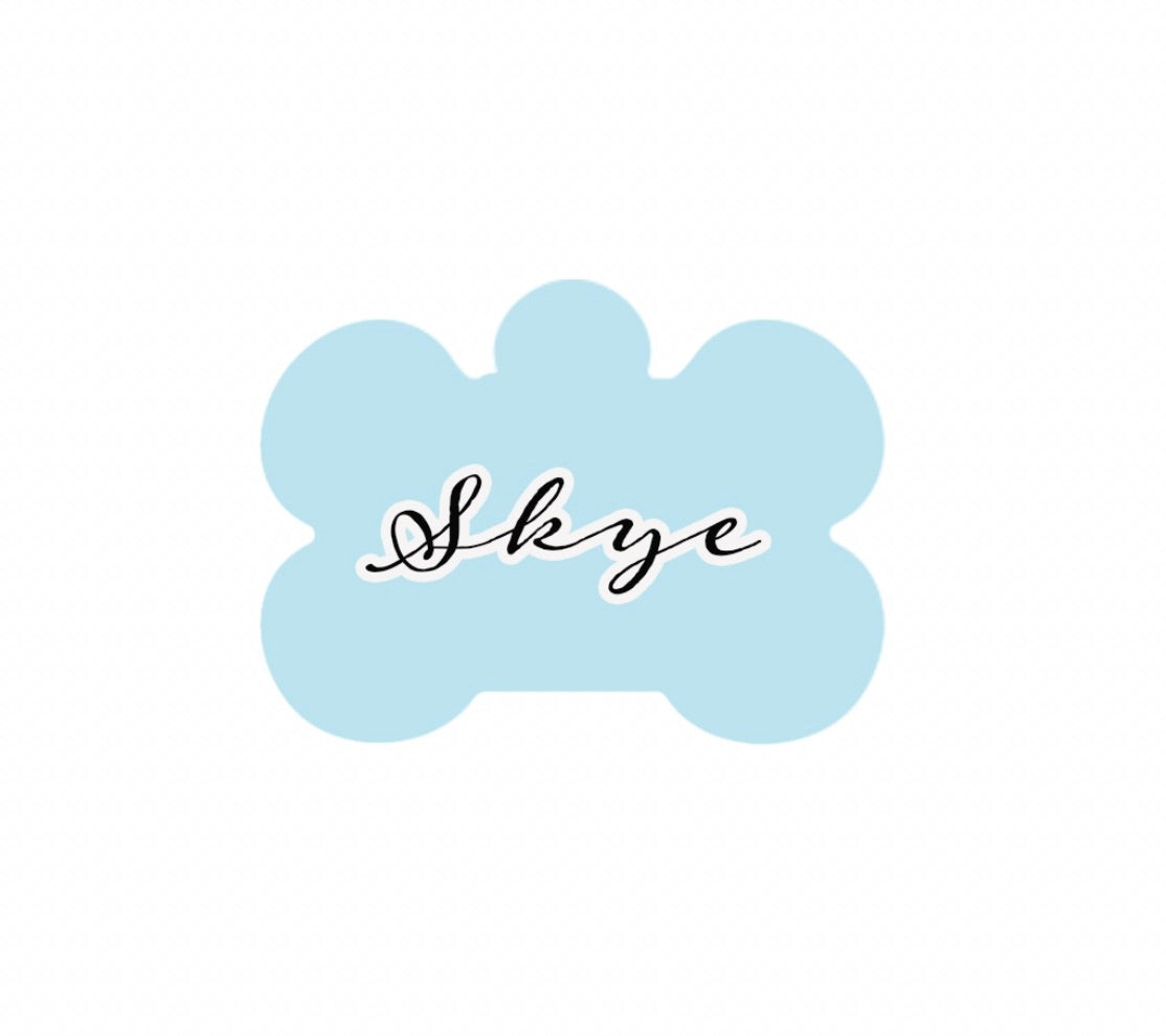 Light Blue Tag