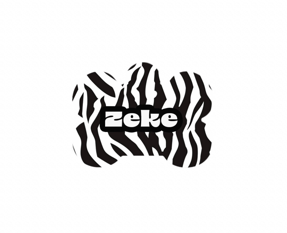Black & White Zebra Print Tag