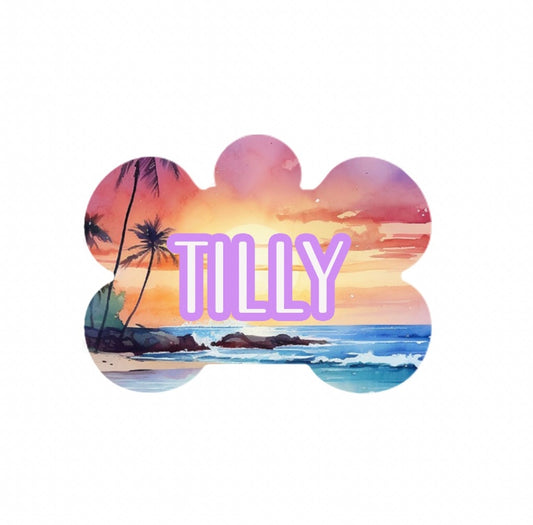 Malibu Sunset Metal Tag